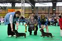 Crufts2011_2 958